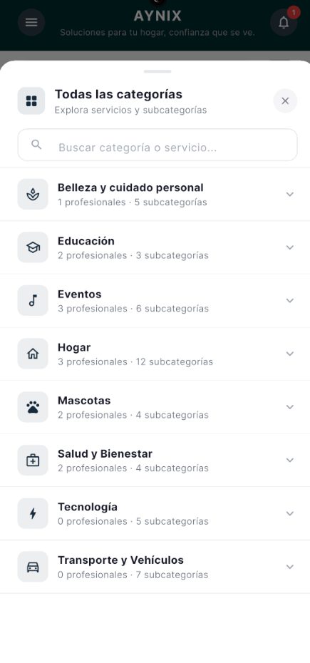 Explora servicios y categorías en Aynix